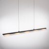 NELE Suspension Luminaires Leuchten Direkt LED Noir, 1 lumière