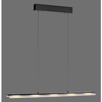 NELE Suspension Luminaires Leuchten Direkt LED Noir, 1 lumière