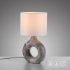 CARARA Lampe à poser Luminaires Leuchten Direkt LED Gris, 1 lumière