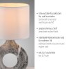 CARARA Lampe à poser Luminaires Leuchten Direkt LED Gris, 1 lumière