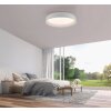 OSKO Plafonnier Luminaires Leuchten Direkt LED Blanc, 1 lumière, Télécommandes