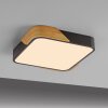 BILA Plafonnier Luminaires Leuchten Direkt LED Noir, 1 lumière