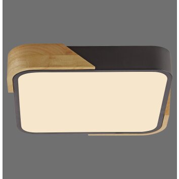 BILA Plafonnier Luminaires Leuchten Direkt LED Noir, 1 lumière