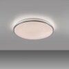 KYLE Plafonnier Luminaires Leuchten Direkt LED Argenté, 1 lumière