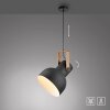 2.0 Suspension Luminaires Leuchten Direkt LED Brun, Noir, 1 lumière