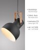 2.0 Suspension Luminaires Leuchten Direkt LED Brun, Noir, 1 lumière