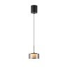 Rika Suspension Luminaires Paul Neuhaus LED Noir, 1 lumière