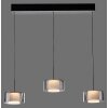 Rika Suspension Luminaires Paul Neuhaus LED Noir, 3 lumières