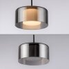 Rika Suspension Luminaires Paul Neuhaus LED Noir, 3 lumières