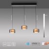 Rika Suspension Luminaires Paul Neuhaus LED Noir, 3 lumières