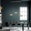 Rika Suspension Luminaires Paul Neuhaus LED Noir, 3 lumières