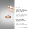 Rika Suspension Luminaires Paul Neuhaus LED Noir, 3 lumières