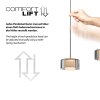 Rika Suspension Luminaires Paul Neuhaus LED Noir, 3 lumières