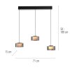 Rika Suspension Luminaires Paul Neuhaus LED Noir, 3 lumières
