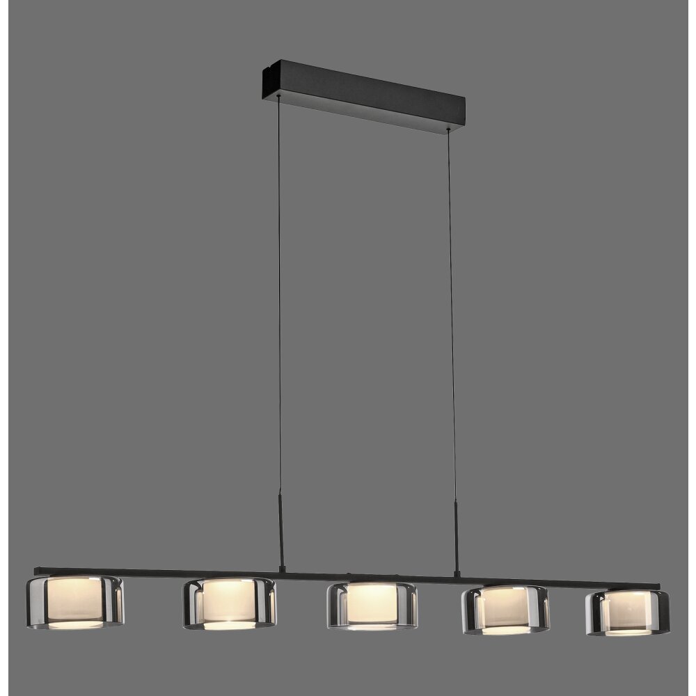 Rika Suspension Luminaires Paul Neuhaus LED Noir, 5 lumières main product photo