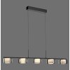 Rika Suspension Luminaires Paul Neuhaus LED Noir, 5 lumières Rika Suspension Luminaires Paul Neuhaus LED Noir, 5 lumières