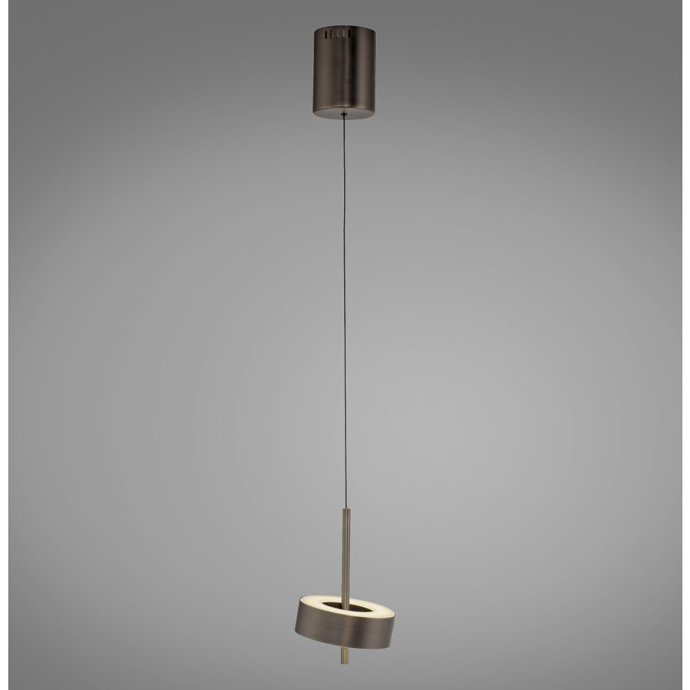 Q-Rotate Suspension Luminaires Paul Neuhaus LED Brun, 1 lumière, Télécommandes main product photo