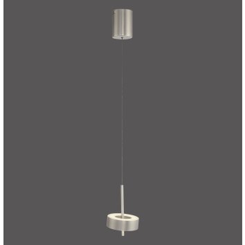 Q-Rotate Suspension Luminaires Paul Neuhaus LED Argenté, 1 lumière, Télécommandes