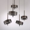 Q-Rotate Suspension Luminaires Paul Neuhaus LED Brun, 5 lumières, Télécommandes