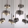 Q-Rotate Suspension Luminaires Paul Neuhaus LED Brun, 5 lumières, Télécommandes