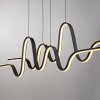 Altitude Suspension Luminaires Paul Neuhaus LED Noir, 1 lumière