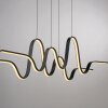 Altitude Suspension Luminaires Paul Neuhaus LED Noir, 1 lumière