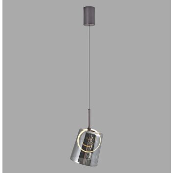Zula Suspension Luminaires Paul Neuhaus LED Brun, 1 lumière