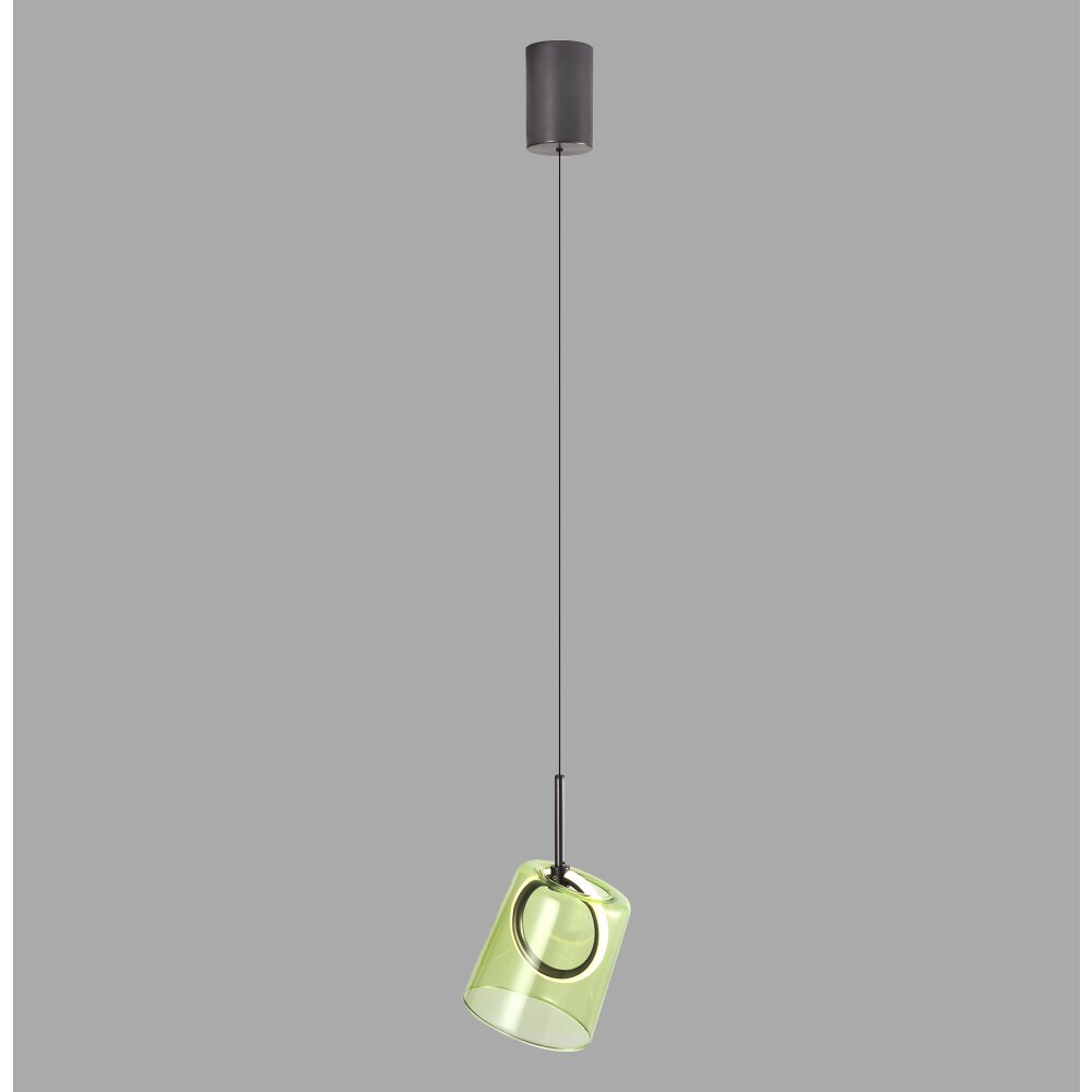 Zula Suspension Luminaires Paul Neuhaus LED Brun, 1 lumière main product photo