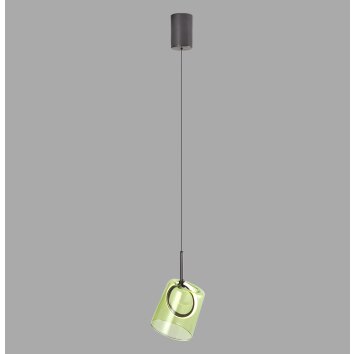 Zula Suspension Luminaires Paul Neuhaus LED Brun, 1 lumière