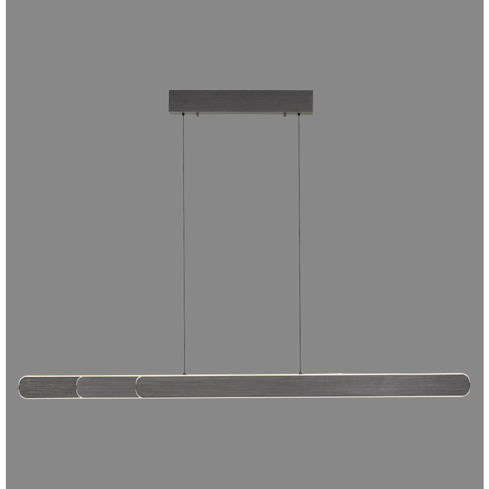 Round Suspension Luminaires Paul Neuhaus LED Noir, 2 lumières main product photo
