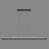 Round Suspension Luminaires Paul Neuhaus LED Noir, 2 lumières