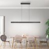 Round Suspension Luminaires Paul Neuhaus LED Noir, 2 lumières
