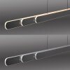 Round Suspension Luminaires Paul Neuhaus LED Noir, 2 lumières