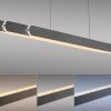 Round Suspension Luminaires Paul Neuhaus LED Noir, 2 lumières