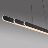 Round Suspension Luminaires Paul Neuhaus LED Noir, 2 lumières