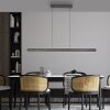 Round Suspension Luminaires Paul Neuhaus LED Noir, 2 lumières