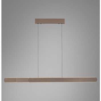 Round Suspension Luminaires Paul Neuhaus LED Brun, 2 lumières