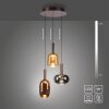 Irides Suspension Luminaires Paul Neuhaus LED Brun, 3 lumières