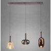 Irides Suspension Luminaires Paul Neuhaus LED Brun, 3 lumières