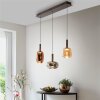 Irides Suspension Luminaires Paul Neuhaus LED Brun, 3 lumières