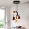Irides Suspension Luminaires Paul Neuhaus LED Brun, 5 lumières