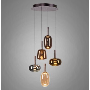 Irides Suspension Luminaires Paul Neuhaus LED Brun, 5 lumières