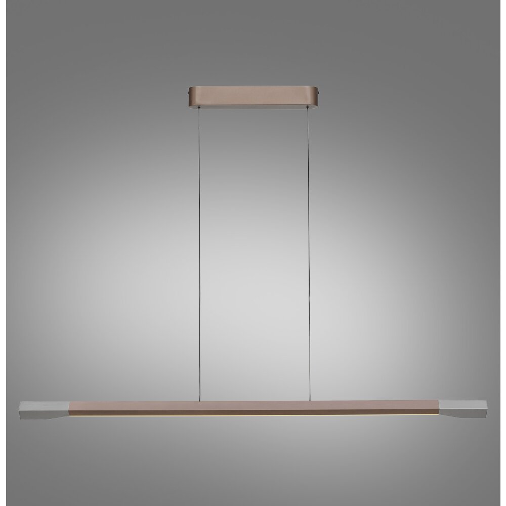 Hoop Suspension Luminaires Paul Neuhaus LED Brun, Argenté, 1 lumière main product photo