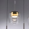 Q-Kon Suspension Luminaires Paul Neuhaus LED Brun, 1 lumière, Télécommandes