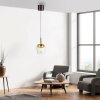 Q-Kon Suspension Paul Neuhaus Q-Serie LED Brun, 1 lumière, Télécommandes