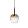 Q-Kon Suspension Paul Neuhaus Q-Serie LED Brun, 1 lumière, Télécommandes