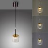 Q-Kon Suspension Paul Neuhaus Q-Serie LED Brun, 1 lumière, Télécommandes