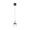 Q-Kon Suspension Paul Neuhaus Q-Serie LED Brun, 1 lumière, Télécommandes