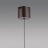 Q-Kon Suspension Paul Neuhaus Q-Serie LED Brun, 1 lumière, Télécommandes