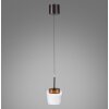 Q-Kon Suspension Luminaires Paul Neuhaus LED Brun, 1 lumière, Télécommandes